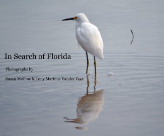 In Search of Florida book cover
