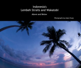 Indonesia's Lembeh Straits and Wakatobi book cover