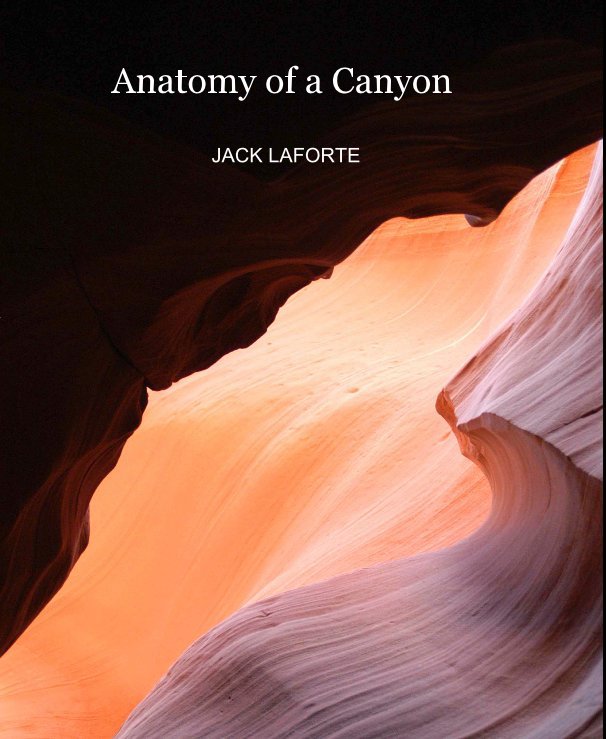 View Anatomy of a Canyon by JACK LAFORTE