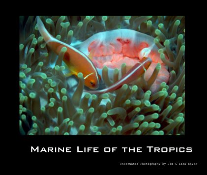 Marine Life of the Tropics book cover