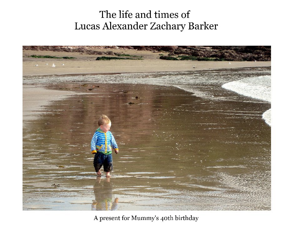 The life and times of Lucas Alexander Zachary Barker nach Neil Barker anzeigen