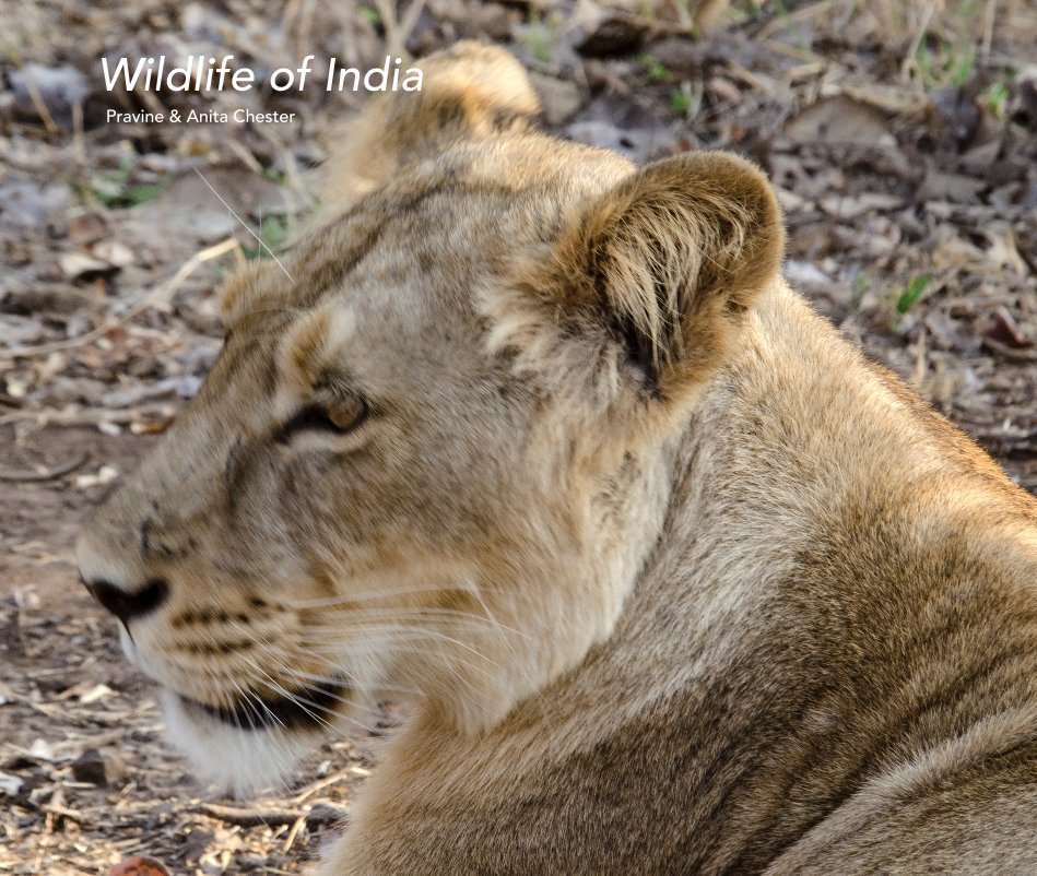Bekijk Wildlife of India op Pravine and Anita Chester