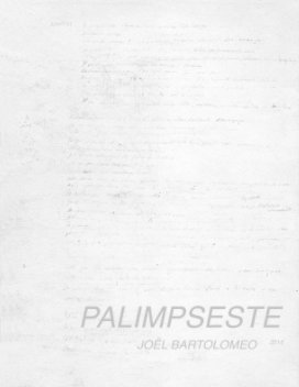 PALIMPSESTE book cover