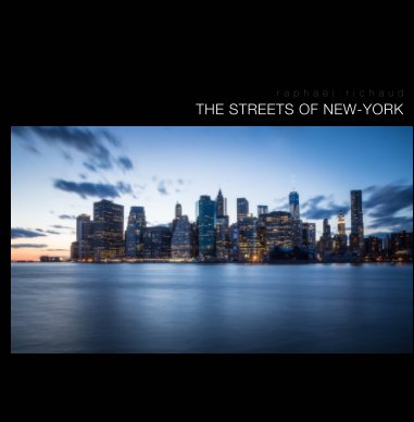 THE STREETS OF NEW-YORK book cover