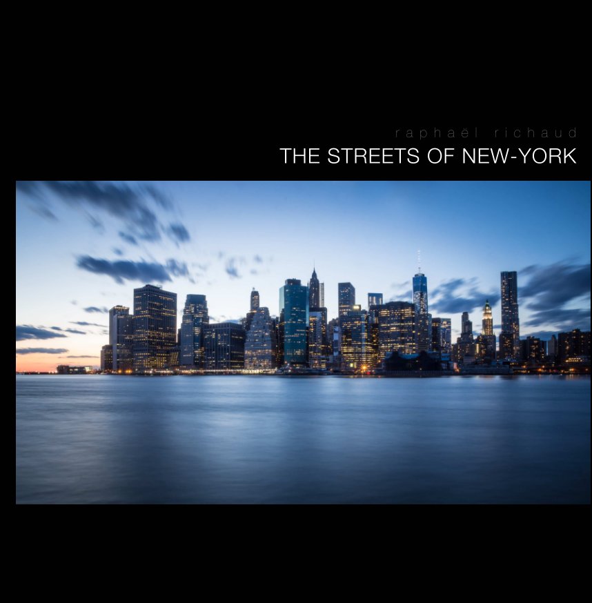 View THE STREETS OF NEW-YORK by Raphael Richaud
