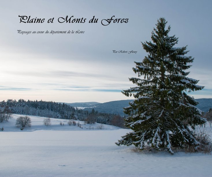 View Plaine et Monts du Forez by Par Robert Fleury
