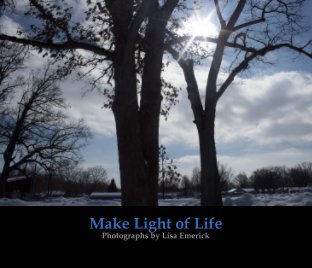 Make Light of Life book cover