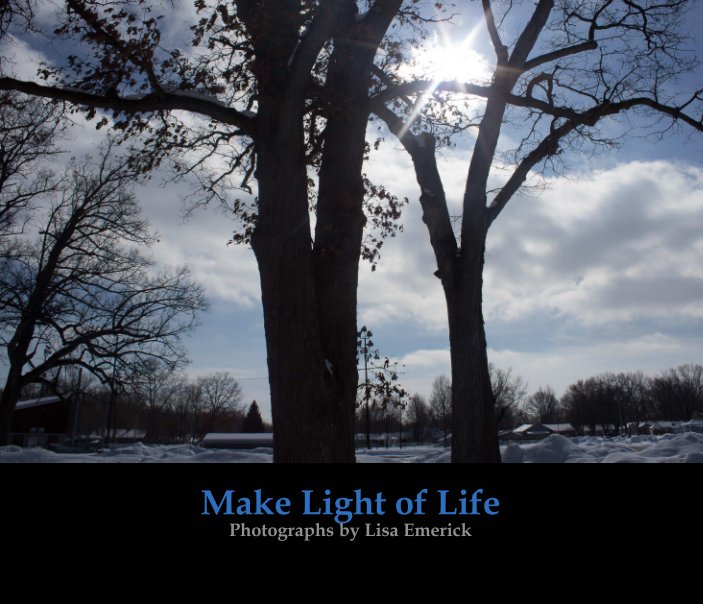 View Make Light of Life by Lisa Emerick
