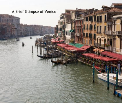 A Brief Glimpse of Venice book cover