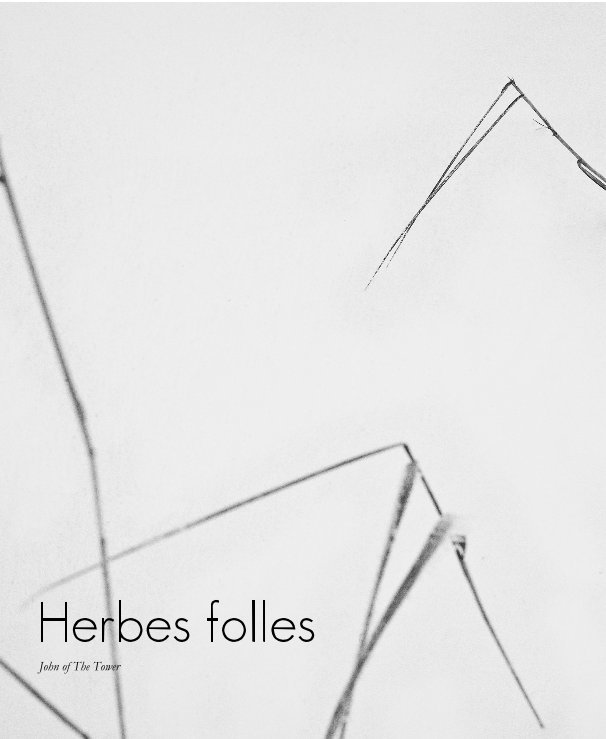 View Herbes folles by John of The Tower