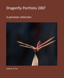 Dragonfly Portfolio 2007 book cover
