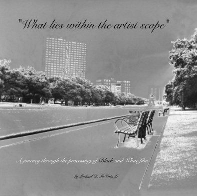 "What lies within the artist scope" book cover