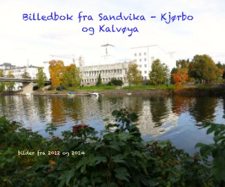 Billedbok fra Sandvika - Kjørbo og Kalvøya book cover