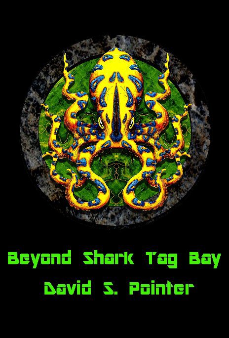 View Beyond Shark Tag Bay by David S Pointer