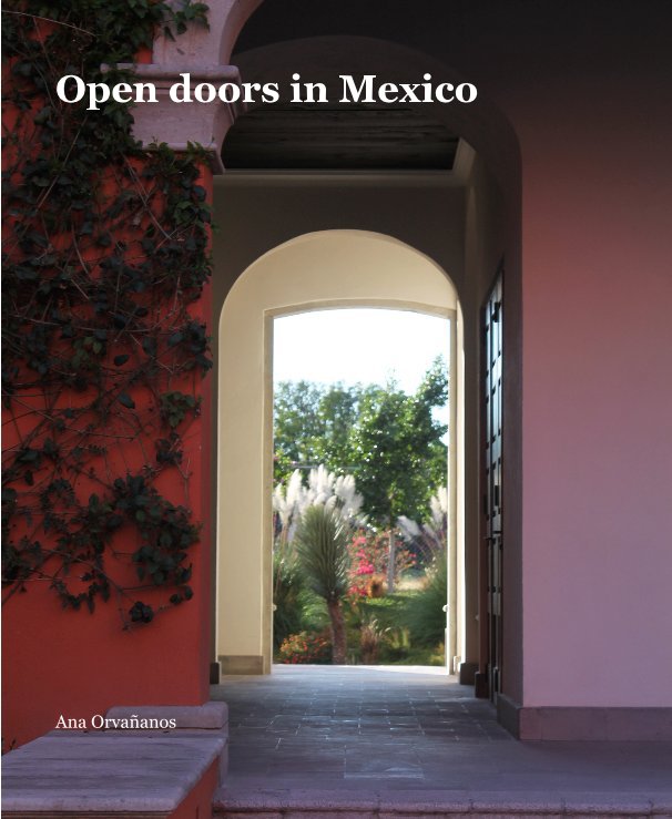 View Open Doors in Mexico by Ana Orvananos