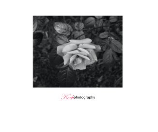 Kochphotography book cover