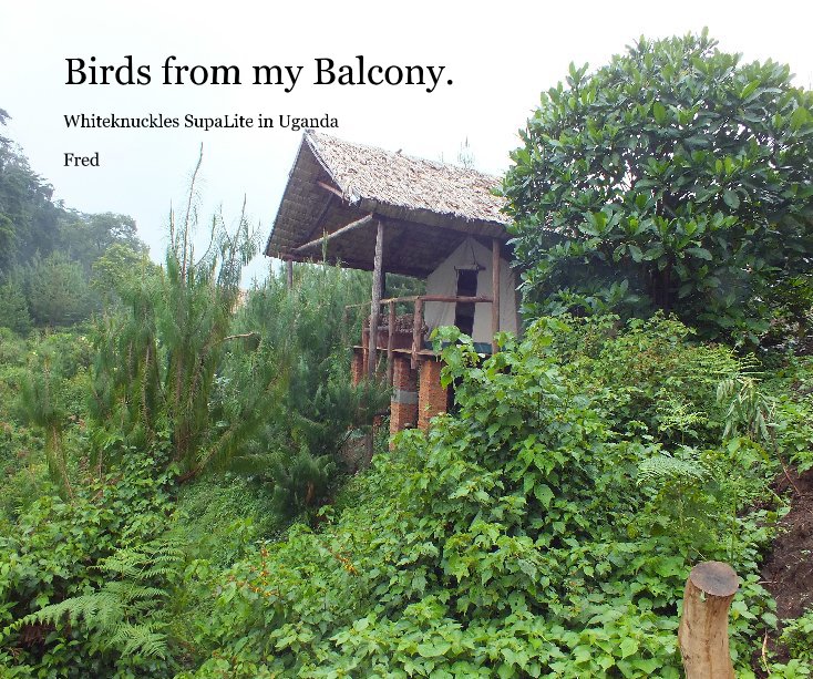 Bekijk Birds from my Balcony. op Fred