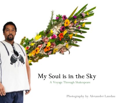 My Soul is in the Sky book cover