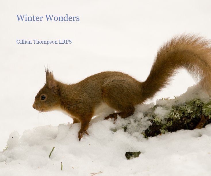 Ver Winter Wonders por Gillian Thompson LRPS
