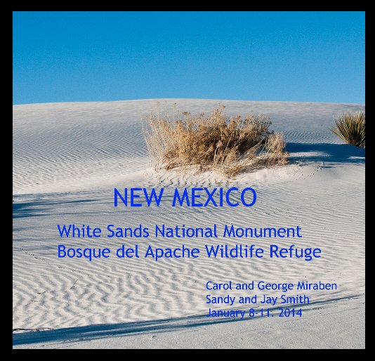 Ver New Mexico por George Miraben