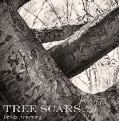 Tree Scars book cover