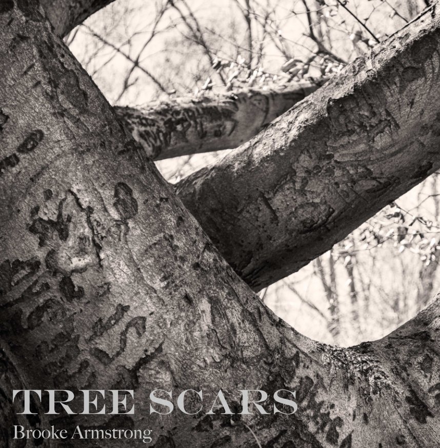 View Tree Scars by Brooke Armstrong