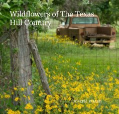 Wildflowers of The Texas Hill Country book cover
