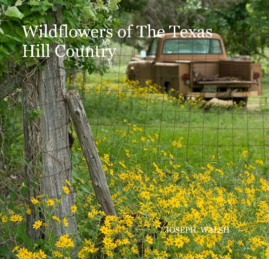 View Wildflowers of The Texas Hill Country by JOSEPH WALSH