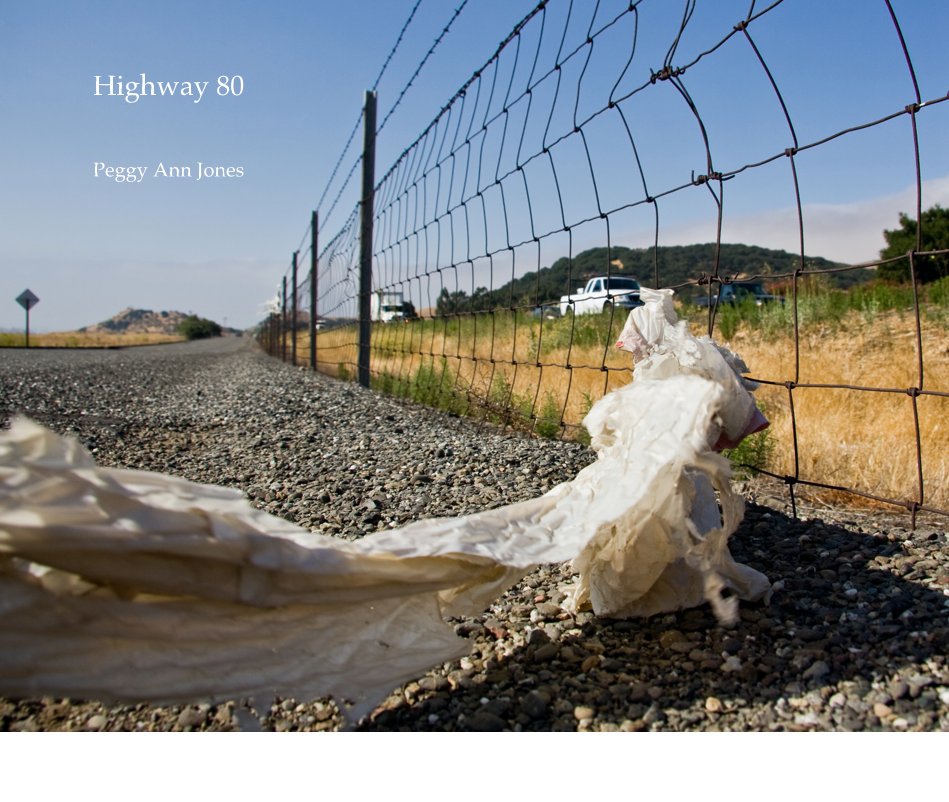 Ver Highway 80 por Peggy Ann Jones