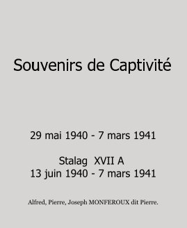 Souvenirs de Captivité book cover