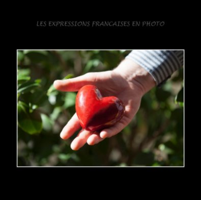 les expressions françaises en photo book cover