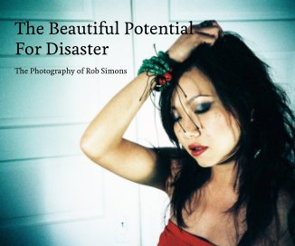 The Beautiful Potential For Disaster book cover
