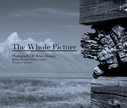 The Whole Picture Photography  Photography Denver, Colorado book cover