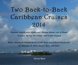 Two Back-to-Back Caribbean Cruises 2014 book cover