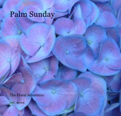 Palm Sunday book cover
