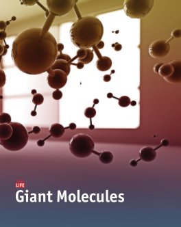 Time Life: Giant Molecules book cover