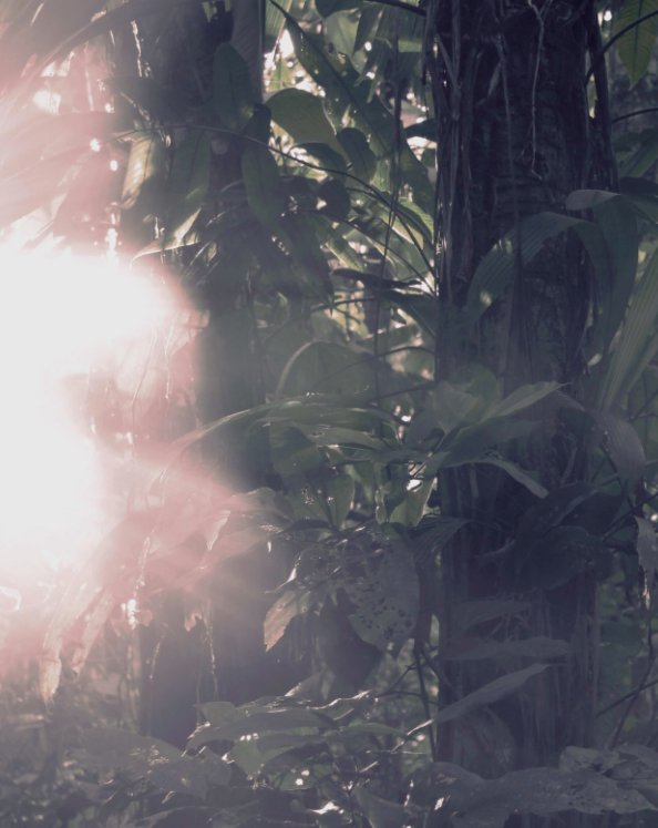 View Selva Fantasma by Summer Moore and Marissa Macias