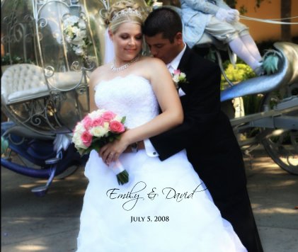 Emily & David book cover