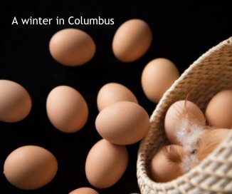 A winter in Columbus book cover