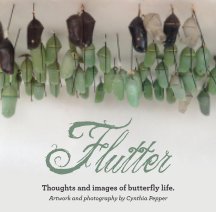Flutter book cover