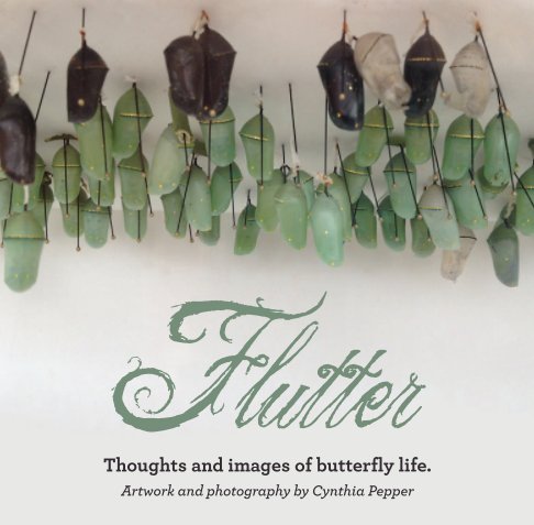 View Flutter by Cynthia Pepper