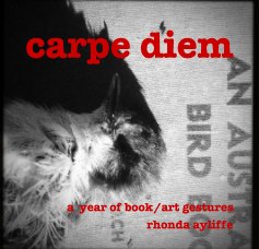 carpe diem book cover