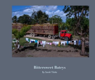 Bittersweet Bateys book cover