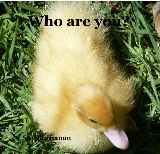 View Who are you? by Sue Buchanan