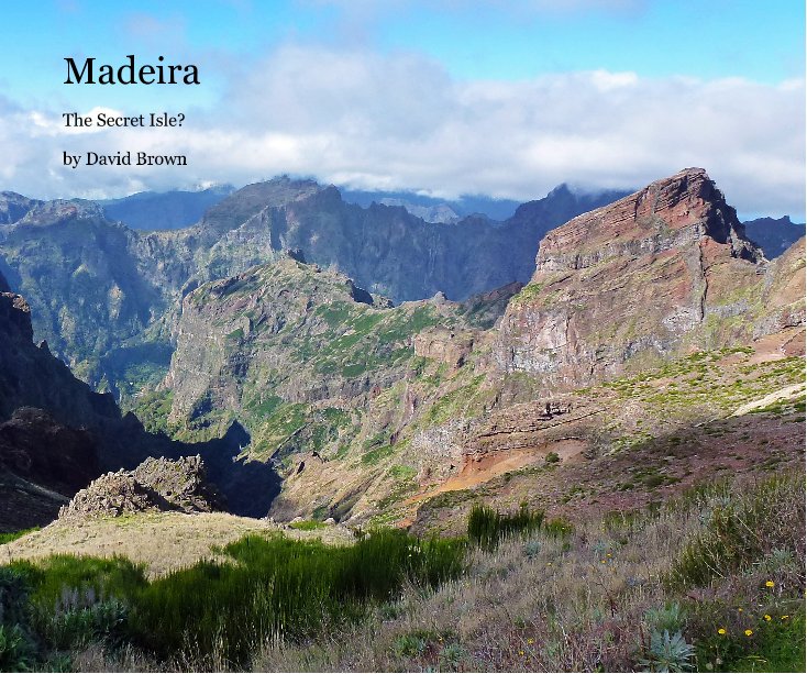 View Madeira by David Brown