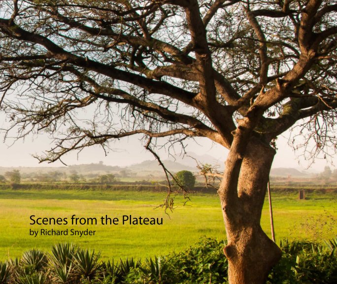 Ver Plateau Views por Richard Snyder