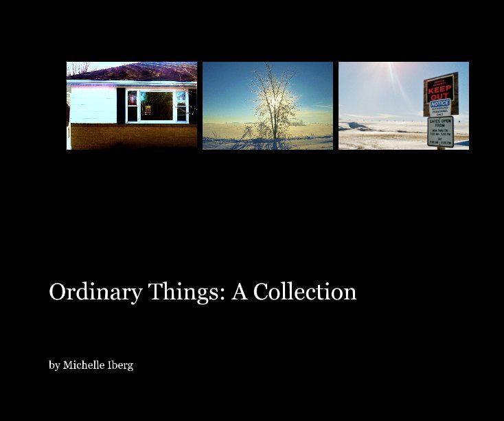 Ver Ordinary Things: A Collection por Michelle Iberg