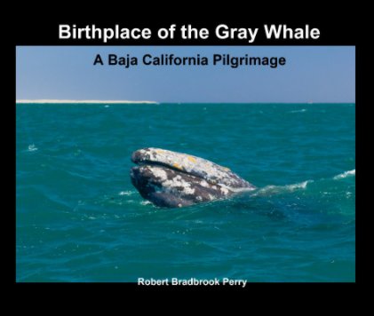 Birthplace of the Gray Whale book cover