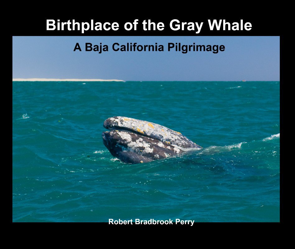 View Birthplace of the Gray Whale by Robert Bradbrook Perry