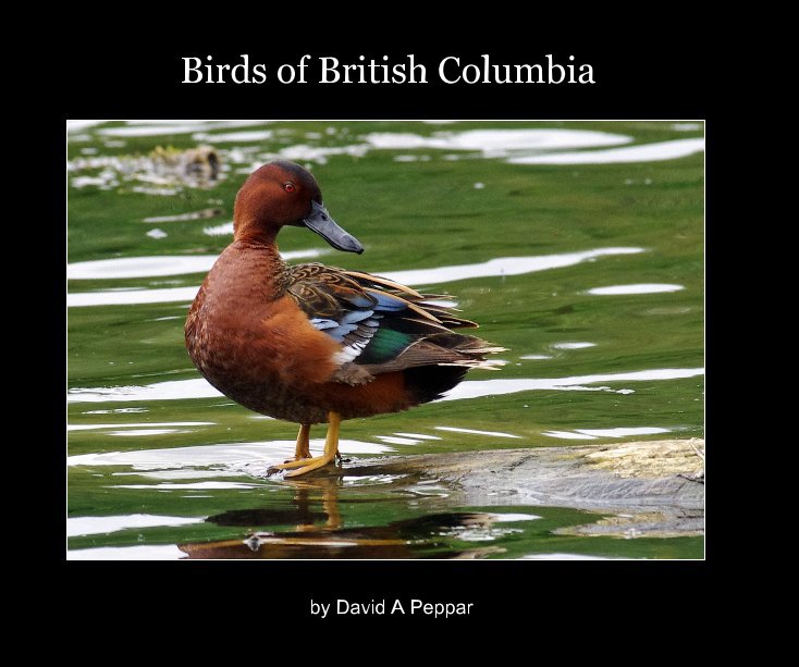 View Birds of British Columbia by David A Peppar